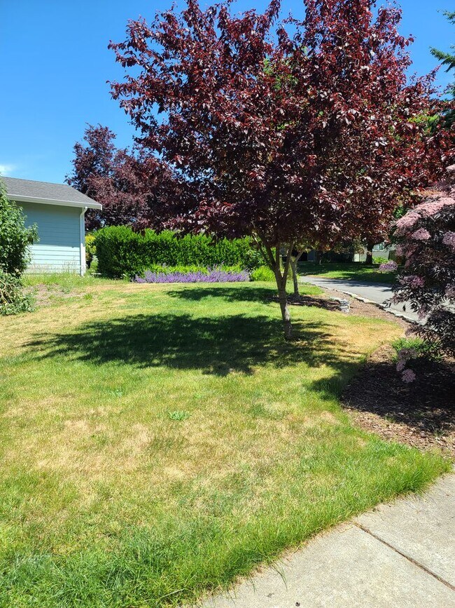 Building Photo - 2056 Doe Dr