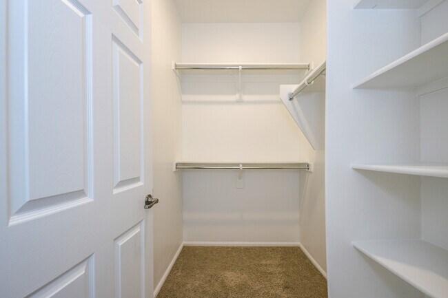 Building Photo - 10267 E Civano Wash Trail