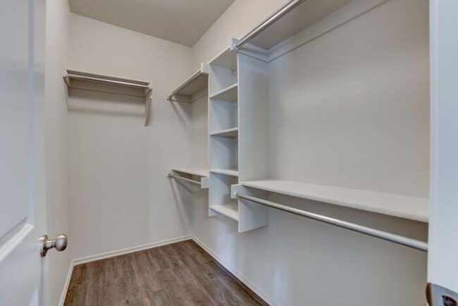 Building Photo - 3/2/2 Brand New Luxury Patio Home