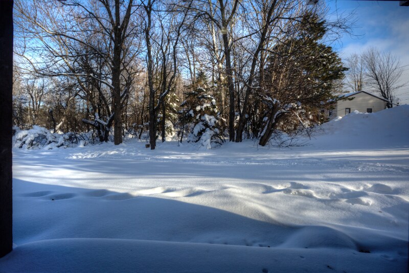 Building Photo - 1114 Douglas Blvd