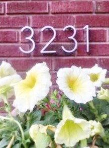 Building Photo - 3231 Griest Ave