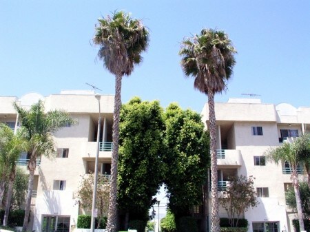 Primary Photo - 9025 Alcott St