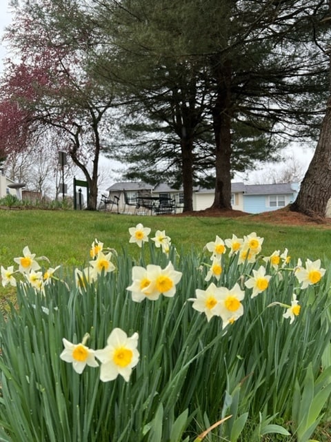 Building Photo - 18 Warren Pl