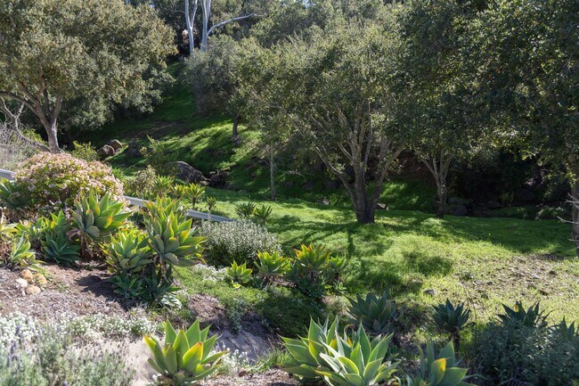 Building Photo - Well-Appointed Home in Desirable Mountain View School District