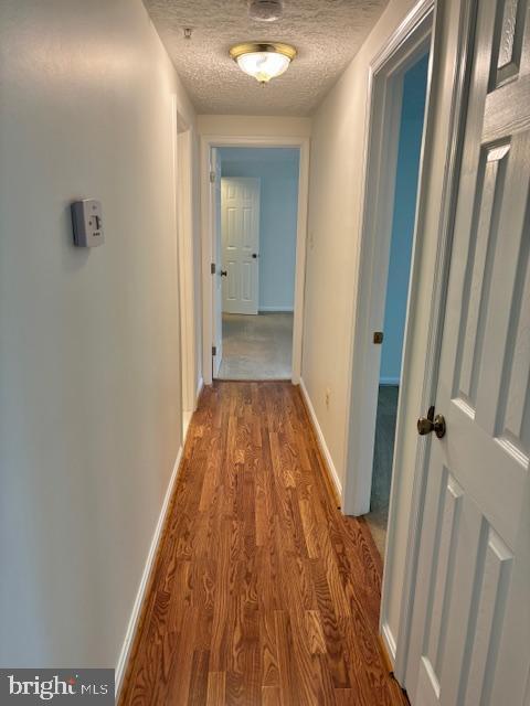 Building Photo - 301 Palmspring Dr
