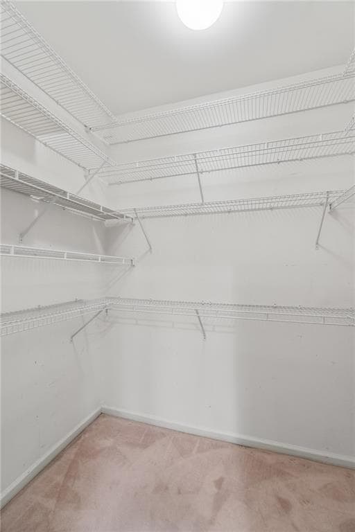 Building Photo - 3616 Creek Harbor Ct