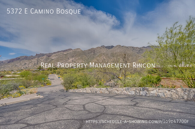 Building Photo - Location! Quintessential Tucson Classic is...