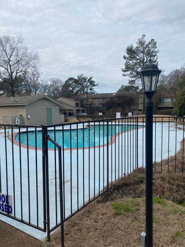 Swimming pool - 846 Thistledown Dr