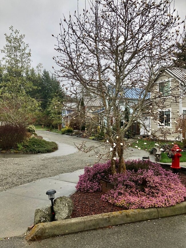 Building Photo - 3 Bedroom Townhouse in Poulsbo