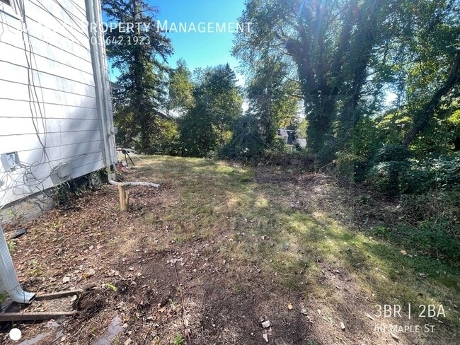 Building Photo - 60 Maple St