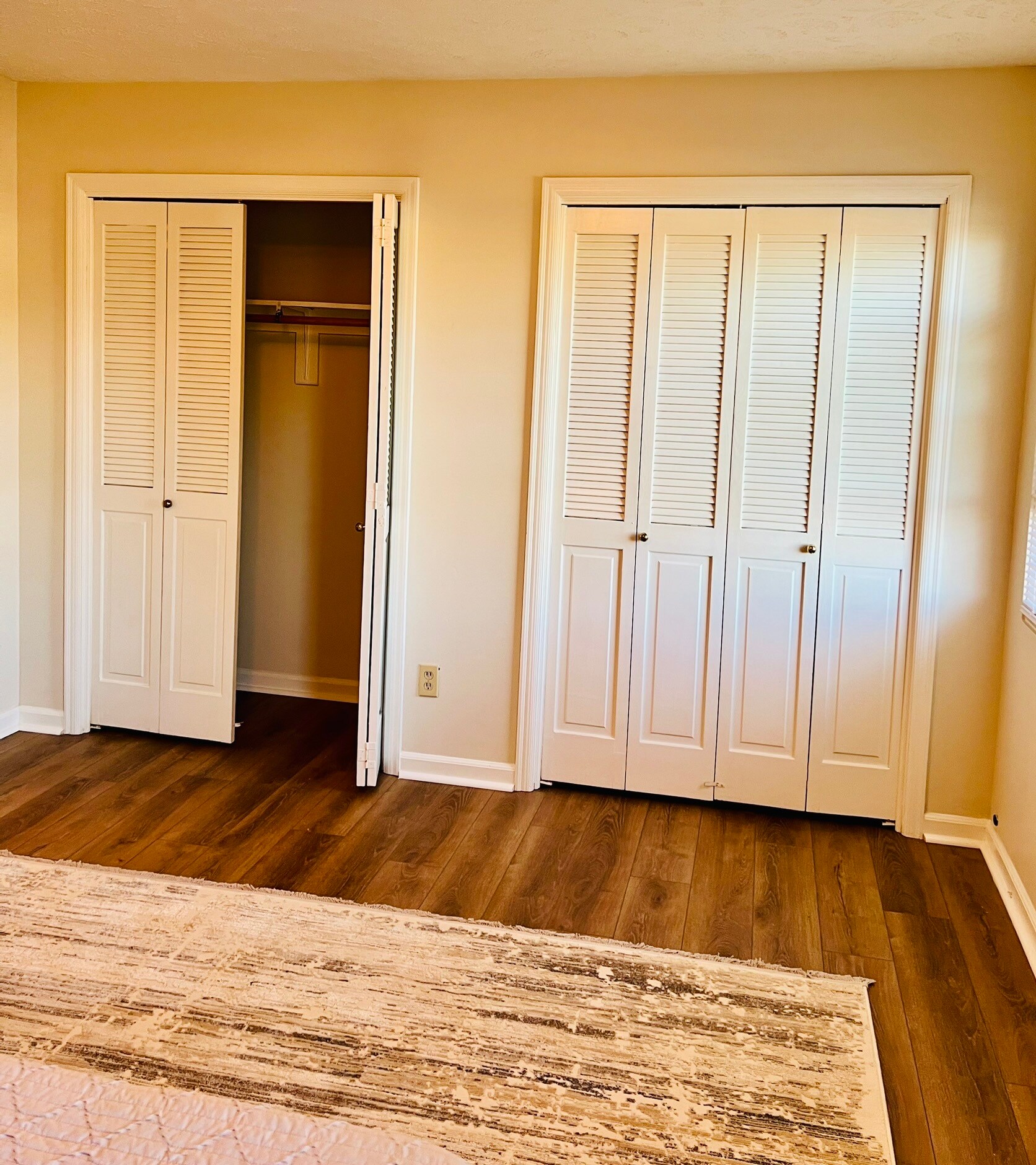 Double closets - 109 Fountain Dr