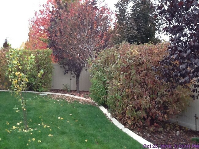 Building Photo - Beautiful home located  in Meridian