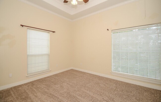 Building Photo - 513 Vincent St