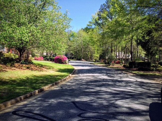 Primary Photo - Beautiful Home in Asheton Park - SUBLEASE ...