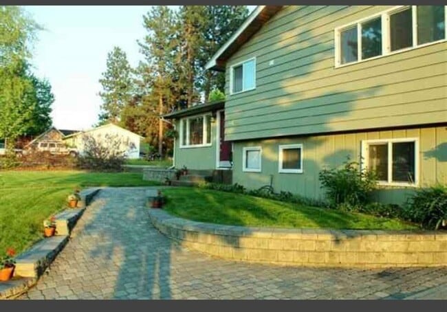 Primary Photo - Available now!