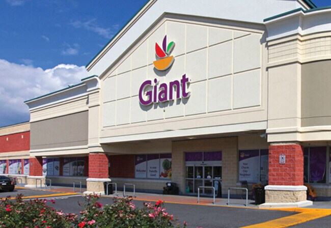 Building Photo - 437 Schwartz Ave