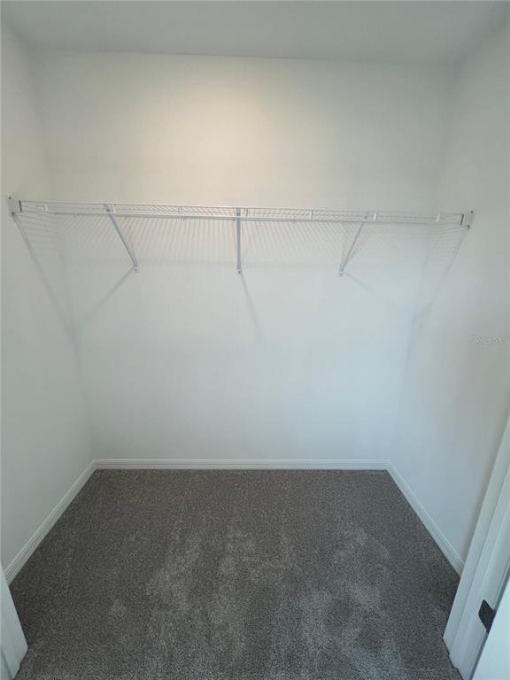 Building Photo - 3068 Skyline Lp