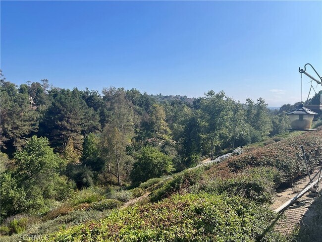 Building Photo - 24822 Via San Fernando