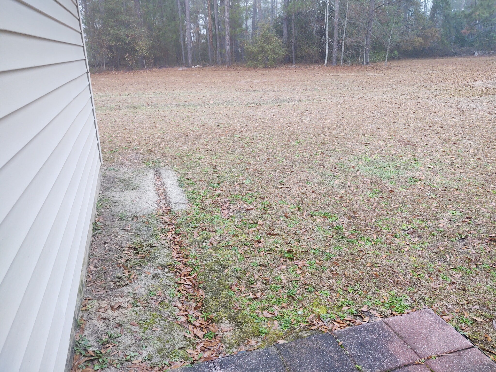 Yard view of property - 247 Hereford Cir