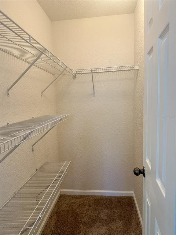 Building Photo - 16322 Parkstone Palms Ct