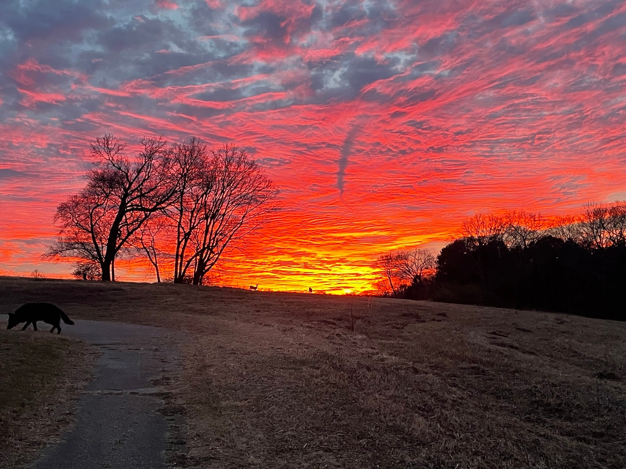 Building Photo - 4973 Riverbank Dr