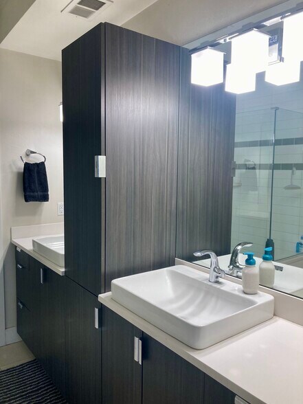 Lots of bathroom storage - 2153 N Downing St
