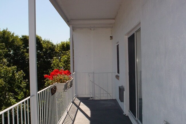 Balcony - 6 Gilson Rd