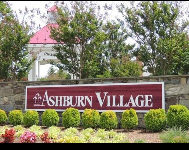 Building Photo - 21015 Lemon Springs Ter