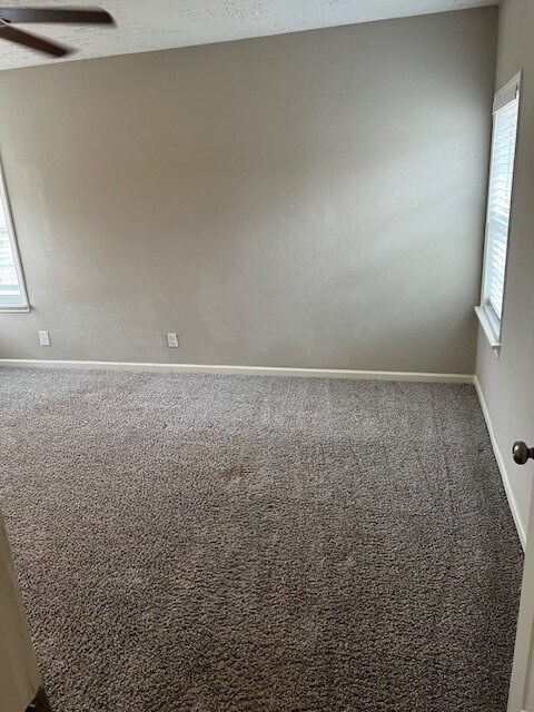 Building Photo - 1008 Frances Dr