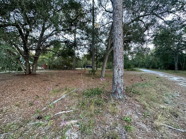 Building Photo - 4 Bedroom/2 Bathroom in Chipley, FL