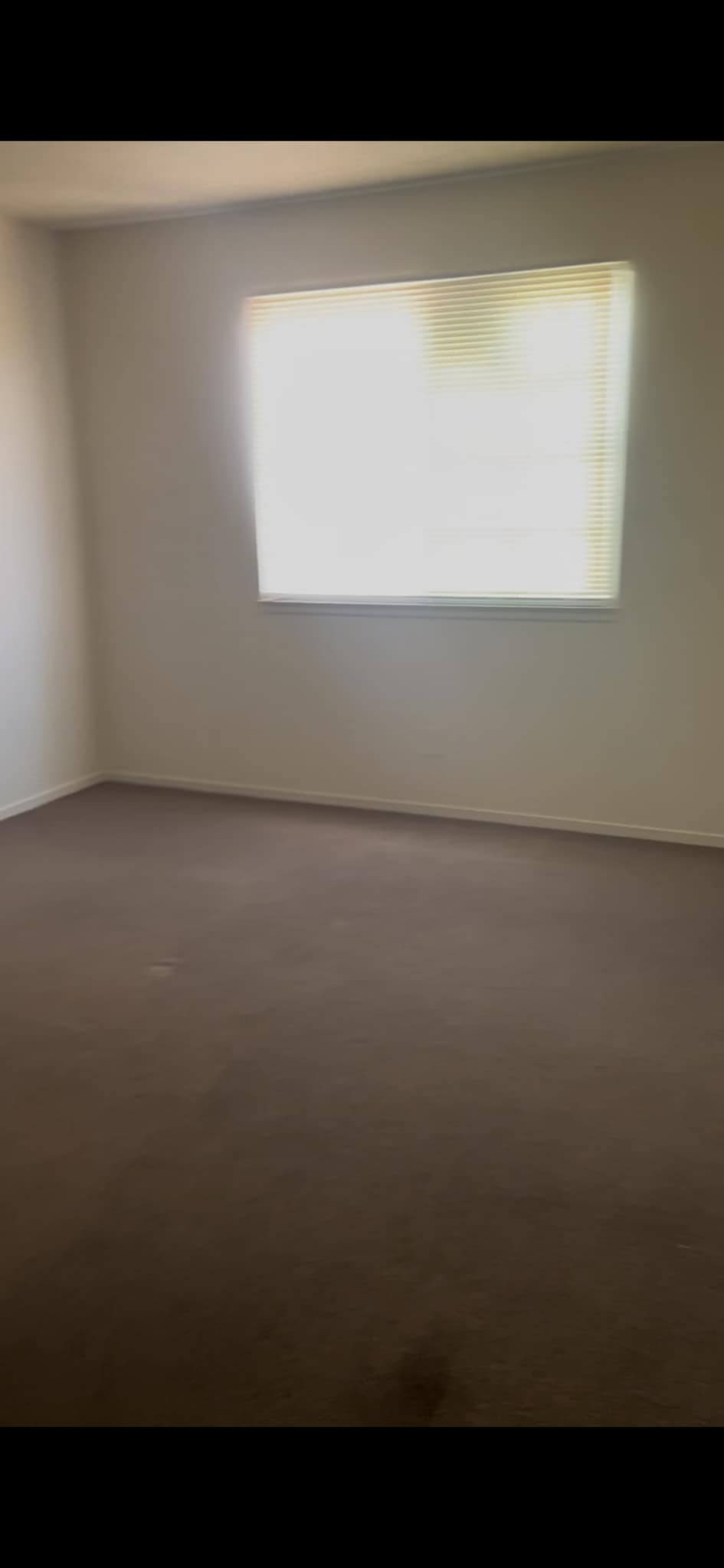 Building Photo - 4185 Solteros St