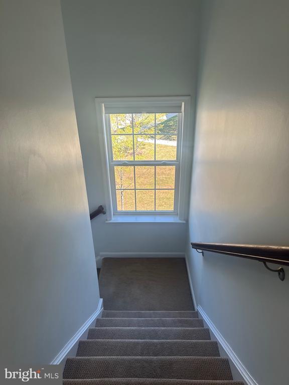Building Photo - 2871 Burrows Ln