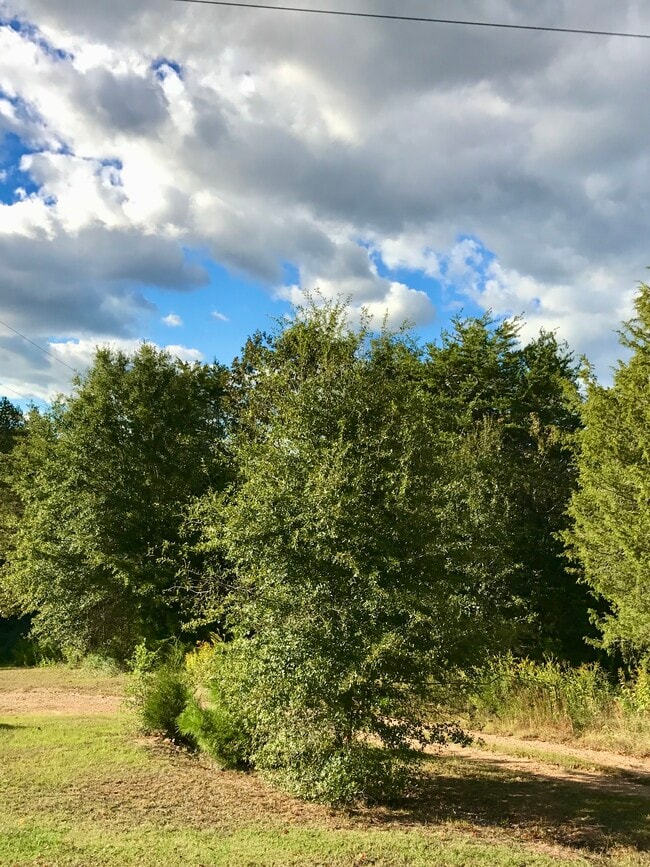 Building Photo - 646 Rices Creek Rd