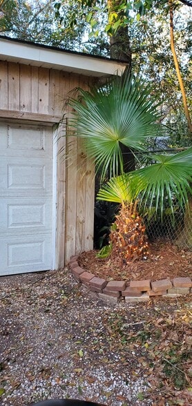 Palm tree to right of garage door - 5014 Hillwood Cir S
