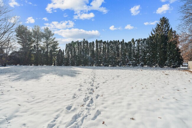 Building Photo - 1245 Michelle Ct