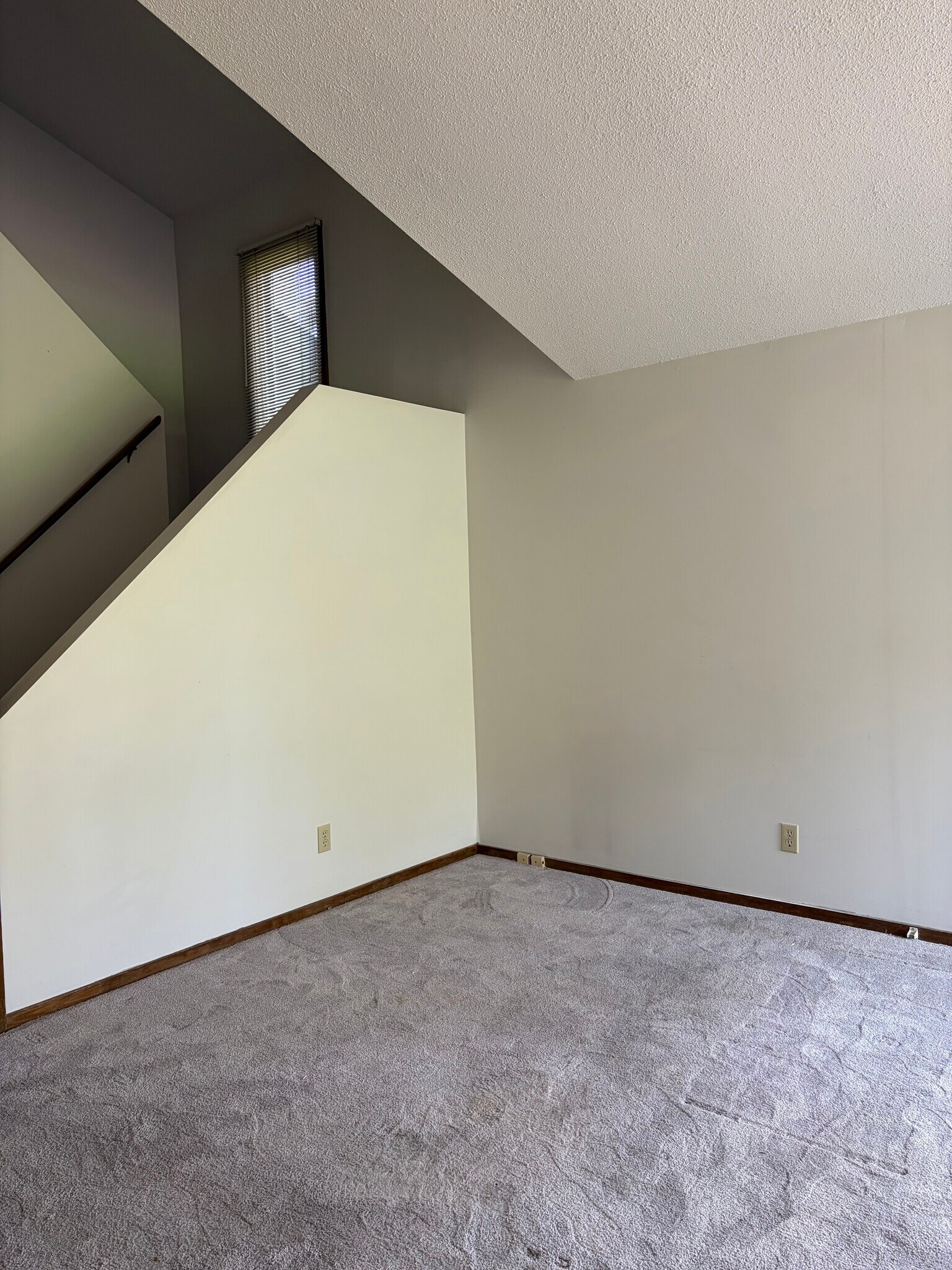 Building Photo - 4016 Pfeiffer Ct