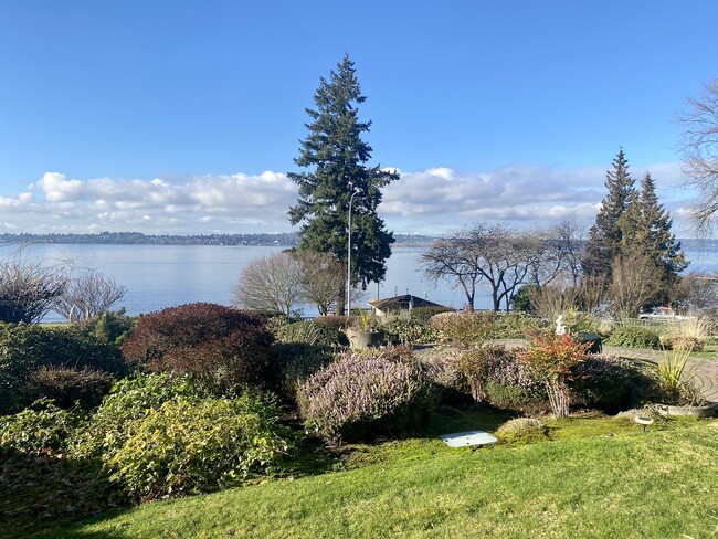 Common Area Garden looking towards Marsh Park Tree - 6620 Lake Washington Blvd NE