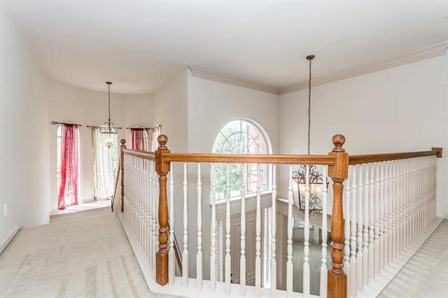 Building Photo - 10804 Briar Brook Ln