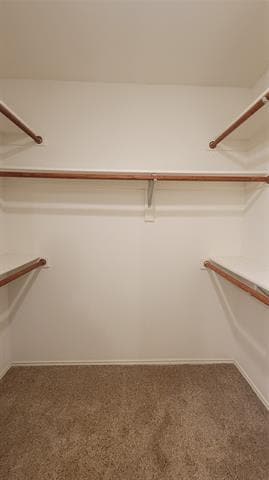 Building Photo - 3047 Bosswood Ct