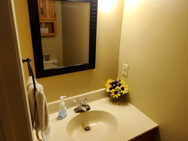 Powder Room on 1st floor - 1359 Apple Blossom Dr