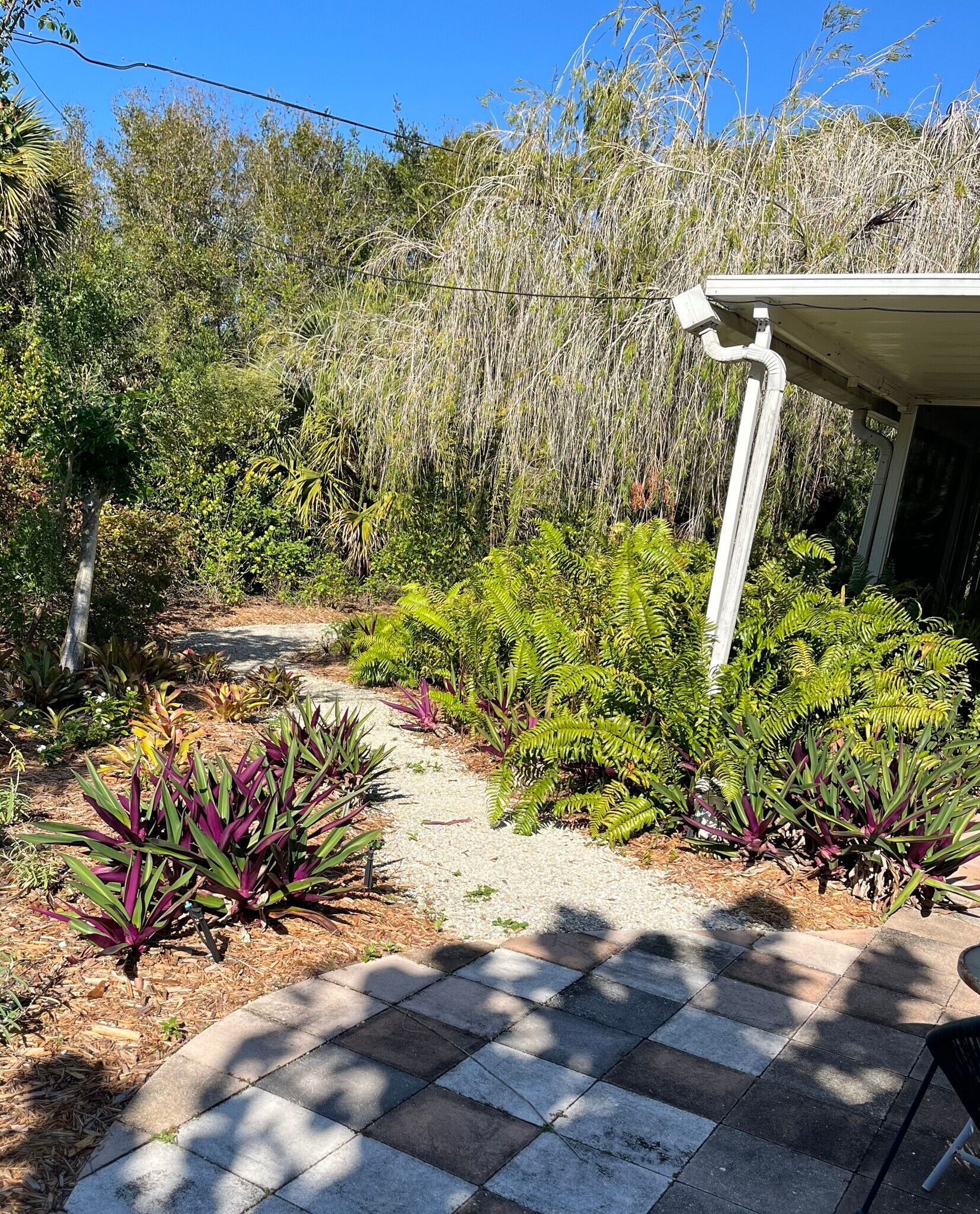 Building Photo - 681 Biscayne Ln