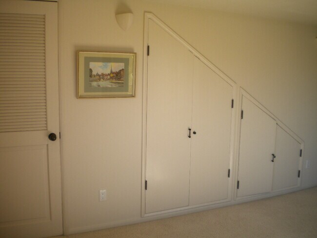 More Closets in Bedroom - 2557 Via Merano