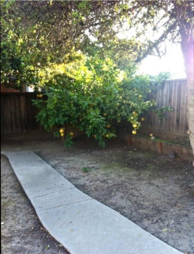 Building Photo - 3202 Isadora Dr