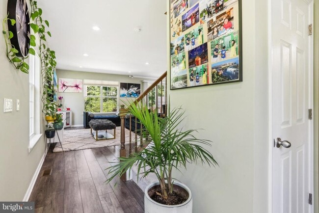 Building Photo - 206 Shields Ct