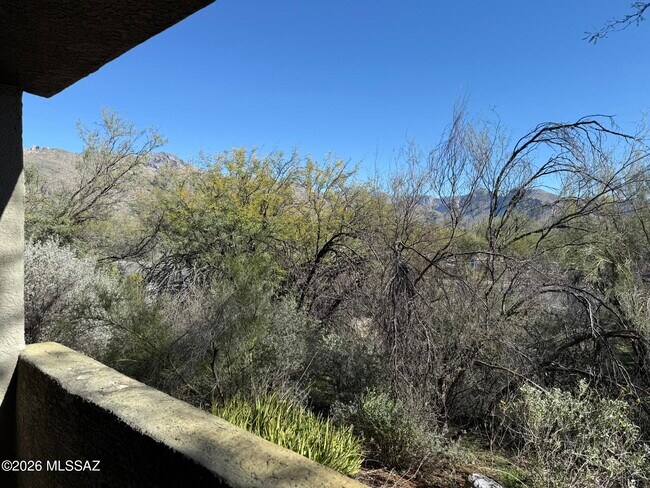 Building Photo - 5751 N Kolb Rd