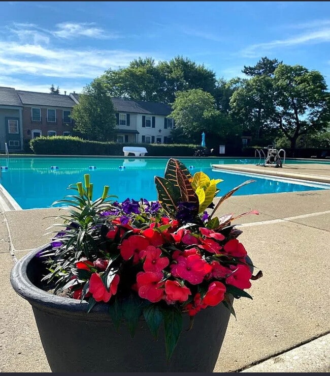 Building Photo - 3486 Burbank Dr