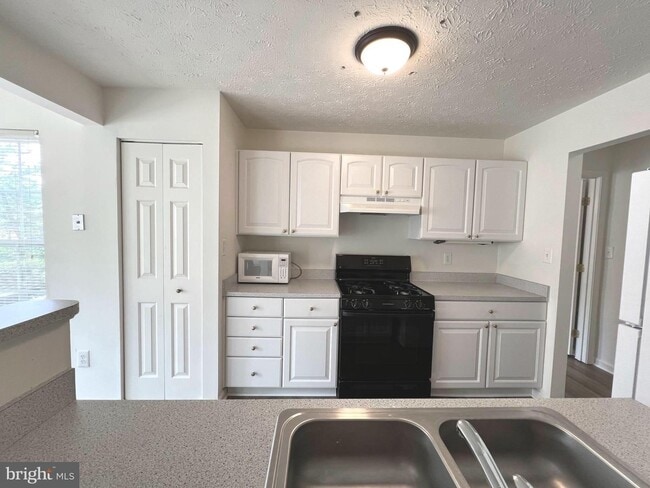 Building Photo - Gorgeous light filled 2 bedroom 2 bath con...