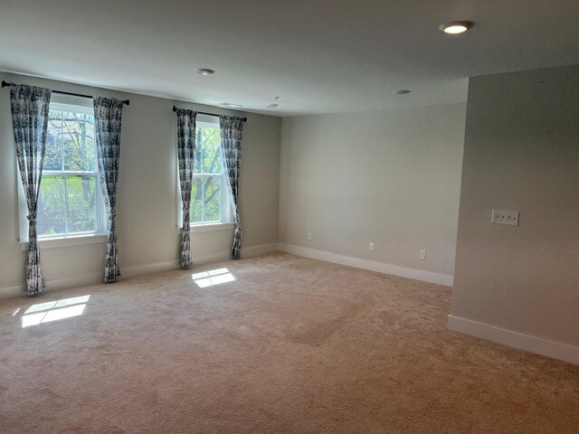 Building Photo - 386 Hammock Ln