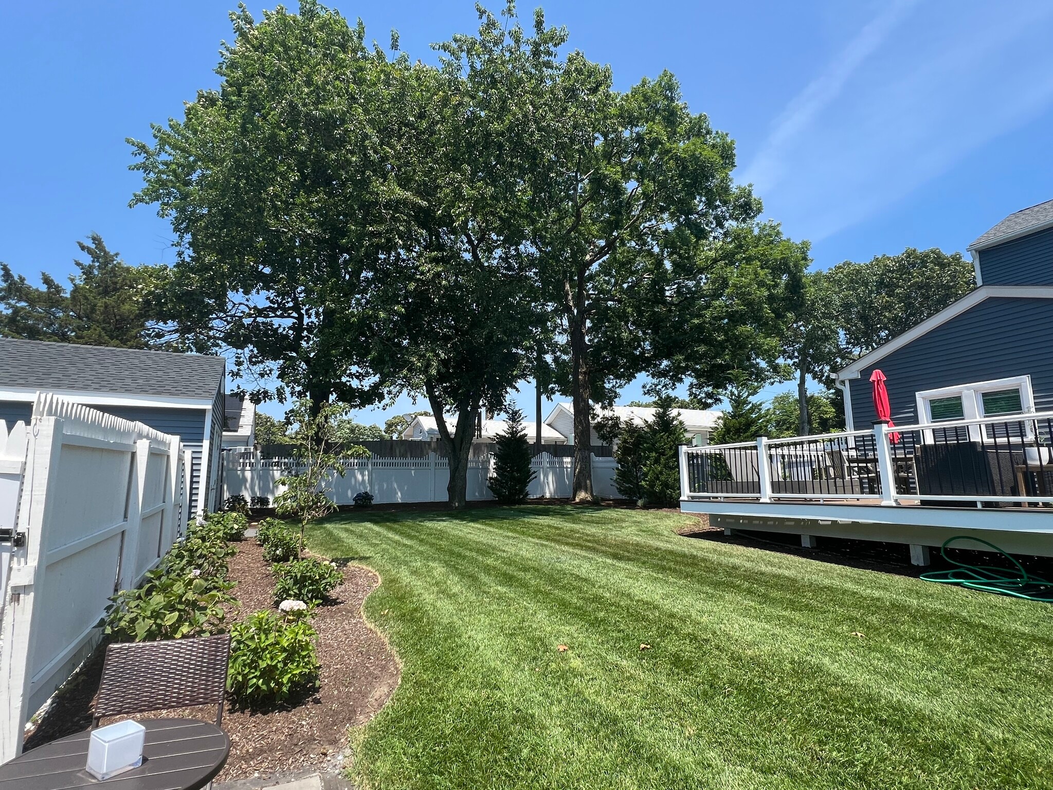 Large backyard, kept beautifully landscaped. - 749 1st St