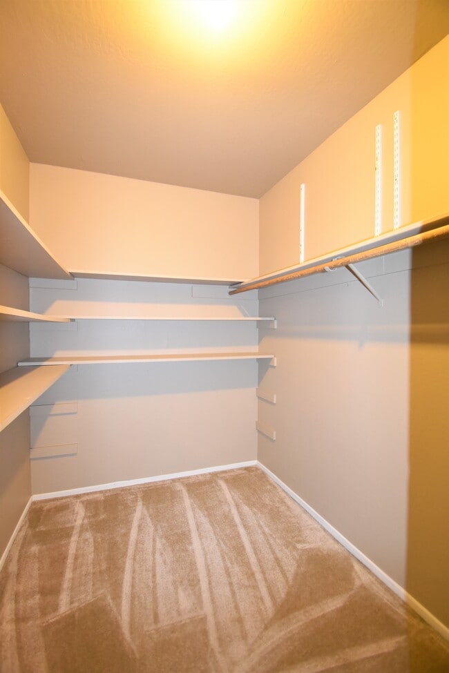 Building Photo - 827 Kingfisher Ter